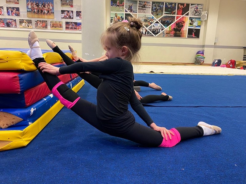Художественная гимнастика. Спортивная группа во всероссийской сети ДСШ